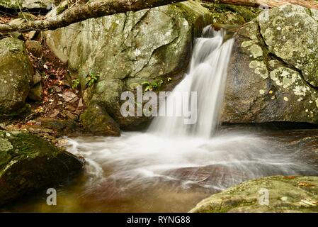 Flux de précipitation et de cascades à Black Mountain, près de Montreat College, à l'extérieur de Asheville, en Caroline du Nord, USA. Banque D'Images