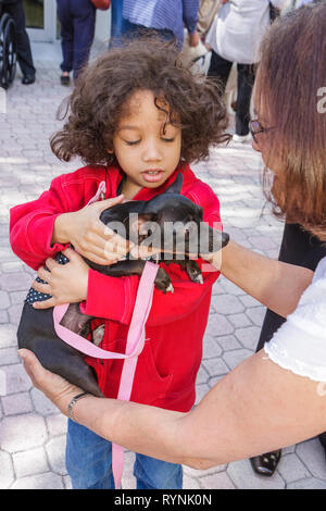 Miami Florida,Temple Israël,Bow Wow Palooza InterFaith Bessing of the Animals,propriétaire,chien,animal,animal,Black Woman femmes,enfant,garçon garçons,mâle Kid k Banque D'Images