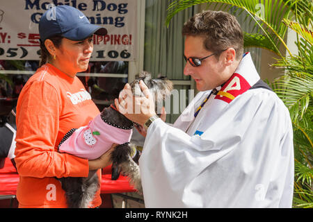 Miami Florida,Temple Israël,Bow Wow Palooza InterFaith Bénédiction des animaux,propriétaire,animal,chien,terrier,clergé,révérend Dr. James Reho,prêtre épiscopal,r Banque D'Images