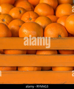 Plein de cage d'oranges. Oranges dans la caisse d'orange. Banque D'Images