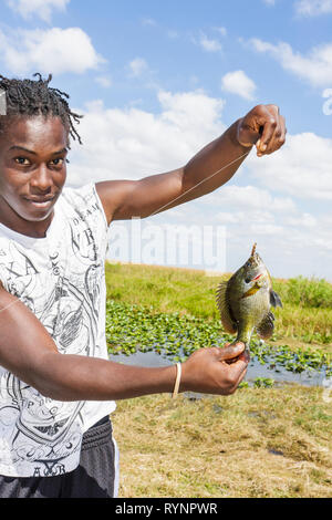 Florida collier County, Everglades, réserve nationale Big Cypress, alligator Alley, Interstate 75, herbe scie, terre humide, canal, pêche en eau douce, poisson, Bluegil Banque D'Images