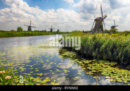 Moulin à vent hollandais magnifique paysage à Kinderdijk aux Pays-Bas Banque D'Images