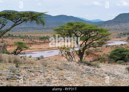 D'Ewaso Nyiro à Samburu National Reserve, Kenya Banque D'Images