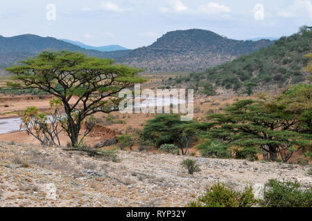 D'Ewaso Nyiro à Samburu National Reserve, Kenya Banque D'Images