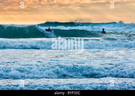 Surfer debout à Piha beach, New Zealand Banque D'Images