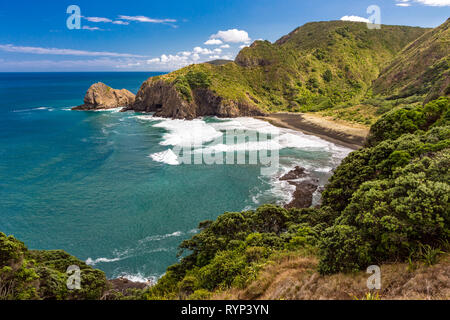 Piha black sand beach, New Zealand Banque D'Images