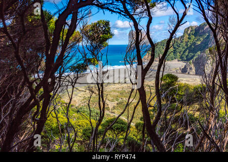 Piha black sand beach, New Zealand Banque D'Images