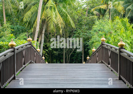 Pont de bois et de végétation tropicale au Sri Nakhon Khuean Khan Park et le Jardin Botanique à Bang Kachao (Krachao). Banque D'Images