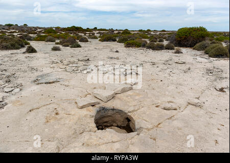 Les points d'eau naturels comme celui d'attirer des wallabies Tammar. Ils ont également aidé à soldat Wiebbe Hayes néerlandais et d'autres survivants du naufrage du Batavia wh Banque D'Images