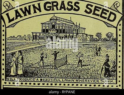 Dreer's quarterly Liste des prix de gros Dreer's quarterly Liste des prix de gros : plantes graines bulbes engrais outils divers &c . dreersquarterlyw1897henr Année : 1897 O DREERS K- ^HENRYADREER AIRMOUNT PARK 7J4CHEStnuT5t&Lt ; pMltA ELPHu 0SEEDSMAN Banque D'Images