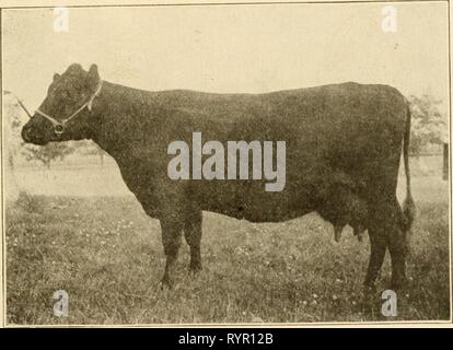 L'agriculture primaire avec l'agriculture primaire arithmétique pratique avec l'arithmétique pratique . elementaryagricu00hatc Année : 1907 LA LAITERIE 121 être vu qu'avec l'aide des plus puissants microscopes. Dans des conditions favorables, ces bactéries augmentation en nombre très rapidement. Ils semblent se développer dans les meilleures conditions météorologiques chaudes et humides. Ils vivent partout, sur le foin, dans la literie, les vêtements et les mains du trayeur, sur les cheveux de la vache, dans le lait et les seaux, bidons et dans l'air. Nouveau lait, fraîchement tiré de la vache rouge interrogés. vache, ne contient aucune de ces bactéries, mais ils ont bientôt entrer dans lui et Banque D'Images