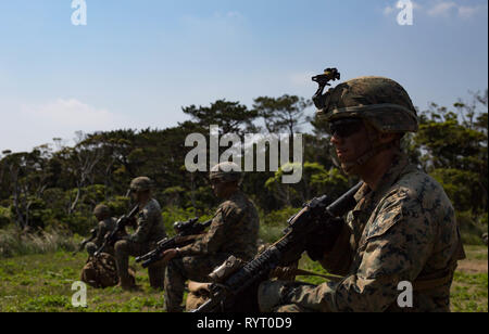 Les Marines américains à partir de la 3e Bataillon, 6e Régiment de Marines, actuellement fixée à 3d Marine Division, assurer la sécurité autour de la zone d'atterrissage lors d'une agression de l'air à la Jungle Warfare Training Center (ETFC), Camp Gonsalves, Okinawa, Japon, 12 mars 2019. Alors que les Marines, ETFC a mené un travail sur l'exercice de champ de force conçus pour simuler le combat dans un environnement de jungle. (U.S. Marine Corps photo de 2ndLt Gerard Callan) Banque D'Images