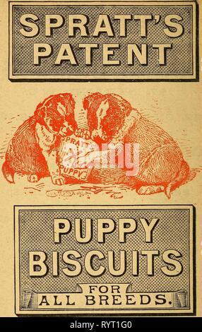 L'élevage de volailles et d'oeufs à l'élevage de volailles et d'oeufs à la maison . eggpoultryraisin00elki Année : 1902 SPRATT'S PATENT, LIMITED, 24 & 25, Fenchurch Street, Londres, EX. Banque D'Images