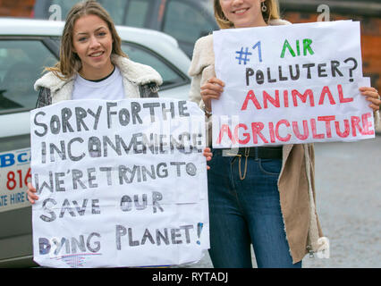 Preston, Lancashire. 15 mars, 2019. Grève à l'école 4 le changement climatique en tant que parents et enfants à l'école monter en dehors de la gare avec des banderoles et des pancartes de protestation pour l'action contre le changement climatique. Les manifestants ont défilé dans le centre-ville de poursuivre leur protestation au drapeau dans le marché du centre-ville. Les enfants du Lancashire ont quitté les classes aujourd'hui dans le cadre d'un climat international grève. Indicateur/AlamyLiveNews:Crédit Banque D'Images