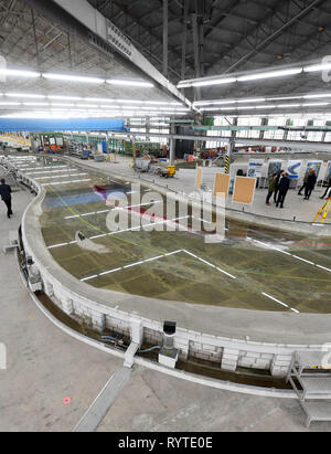 Karlsruhe, Allemagne. Mar 15, 2019. Dans l'Institut fédéral de l'ingénierie hydraulique un modèle de l'Jungferngrund am Rhein, qui est situé sur la route entre Saint- Goar et Mayence/Wiesbaden, a été construit sur une échelle de 1:60 en longueur et 1:50 de hauteur. Pour le transport sur le Rhin, la route représente une profondeur d'étranglement. De simples mesures d'ingénierie hydraulique sont d'augmenter le niveau d'eau d'environ 20 centimètres. Pour tester l'efficacité du modèle de la rivière a été construite. Credit : Uli Deck/dpa/Alamy Live News Banque D'Images