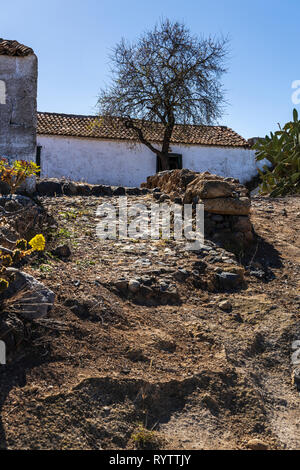 Chemin de pierre menant à une vieille ferme finca avec aeonium jaune fleur dans Las Fuentes, Guia de Isora, Tenerife, Canaries, Espagne Banque D'Images