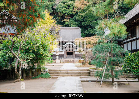 Temple Engakuji à Kamakura, Japon Banque D'Images