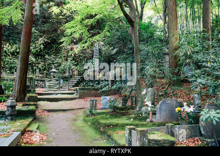 Kamakura, JAPON - 24 novembre 2018 : Tokei-ji Temple Banque D'Images