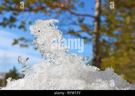 Dit morceau de glace sur l'arrière-plan flou de la forêt. Banque D'Images