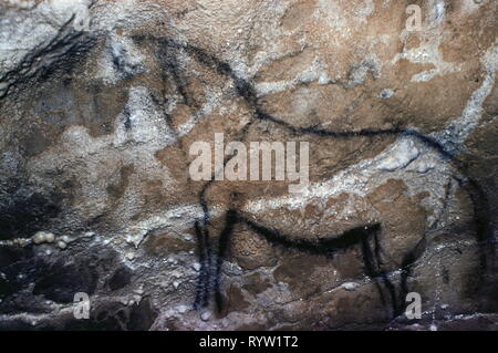 La préhistoire, cave-peinture, Wild Horse, Le Portel, Additional-Rights Clearance-Info-Not-Available- Banque D'Images