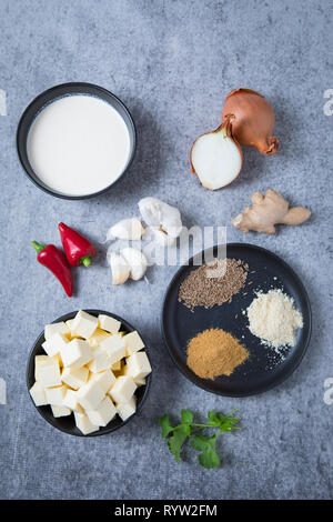 Cubes de paneer, épices indiennes, l'ail, des piments, deux oignons, le gingembre, la coriandre et la crème. Ingrédients pour une recette curry paneer. Curry pakistanais Banque D'Images