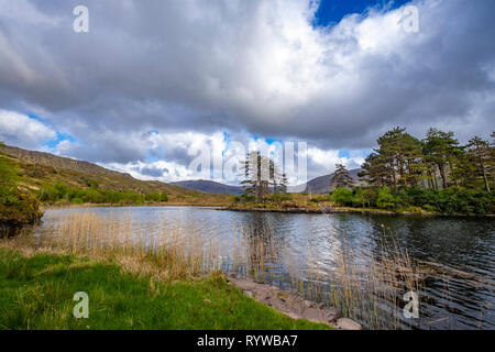 Lough Inchiquin sur Péninsule de Beara Banque D'Images