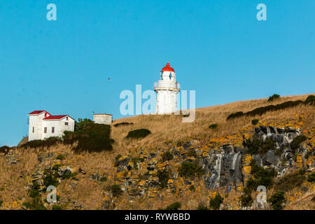 Taiaroa Head Lighthouse à Dunedin en Nouvelle-Zélande. Banque D'Images