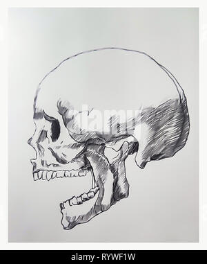 Dessin du crâne sur papier croquis illustration.art.os tête crâne humain tirer Banque D'Images