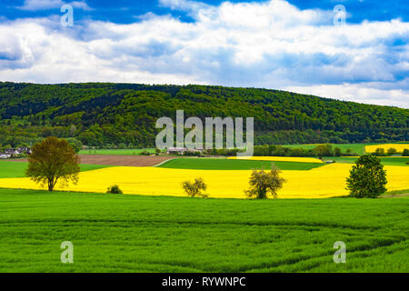 Belle vue panoramique sur le paysage en Hesse du Nord. Les champs cultivés près du village et l'Reinhardswald Wilhelmshausen dans le contexte, l'un... Banque D'Images