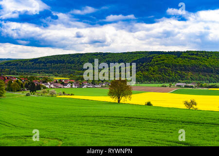 Belle vue panoramique vue paysage de champs cultivés avec un arbre au milieu et le village Wilhelmshausen en Allemagne. Dans l'arrière-plan est la... Banque D'Images