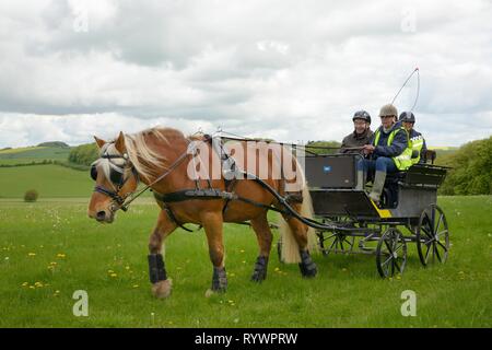 Carriage Driving géré par l'équitation pour les personnes handicapées Association, Marlborough Downs, Wiltshire, Royaume-Uni. Banque D'Images