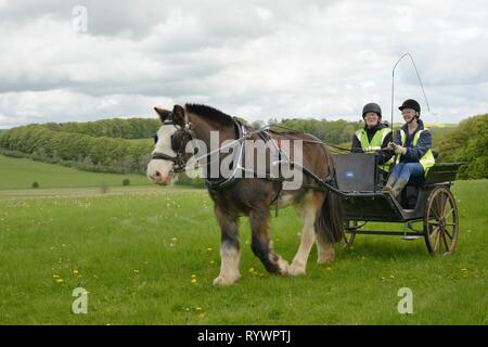 Carriage Driving géré par l'équitation pour les personnes handicapées Association, près de Manton la Marlborough Downs, Wiltshire, Royaume-Uni. Banque D'Images