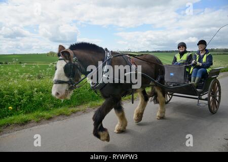 Carriage Driving géré par l'équitation pour les personnes handicapées Association, Marlborough Downs, Wiltshire, Royaume-Uni. Banque D'Images