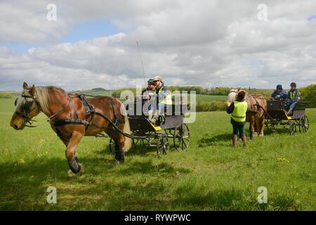 Carriage Driving géré par l'équitation pour les personnes handicapées Association, Marlborough Downs, Wiltshire, Royaume-Uni. Banque D'Images