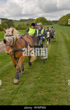 Carriage Driving géré par l'équitation pour les personnes handicapées Association, Marlborough Downs, Wiltshire, Royaume-Uni. Banque D'Images