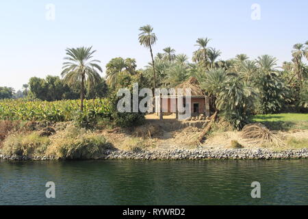 Les scènes dans les rives du Nil en navigation sur une croisière sur le fleuve, la Haute Égypte, l'Afrique du Nord, Moyen-Orient Banque D'Images