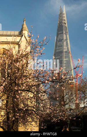 LONDON - 15 février 2019 : journée ensoleillée près de la cathédrale de Southwark, fleurs de cerisier Banque D'Images