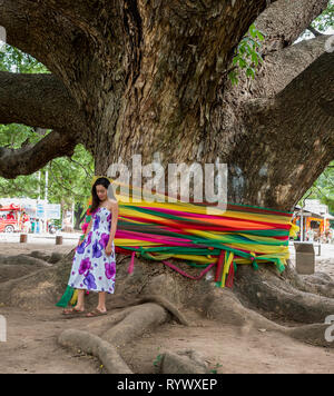 Jeune fille debout devant un arbre géant Monkeypod à Kanchanaburi, Thaïlande Banque D'Images