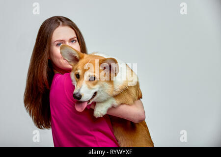 Belle fille avec un Welsh Corgi sur ses mains sur un fond gris, copy space Banque D'Images