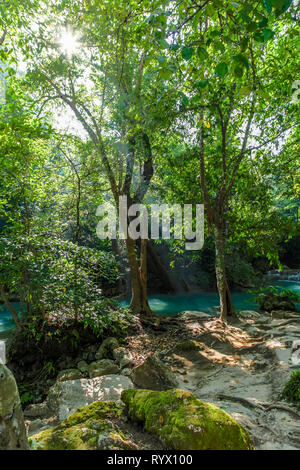 Beau vert d'eau minérale dans la forêt dense du parc national d'Erawan en Thaïlande avec quelques roches moussues en premier plan Banque D'Images