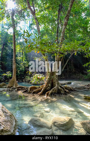 De gros rochers sous l'eau dans le premier plan avec lumière du soleil à travers les arbres font de l'eau claire du parc national d'Erawan en Thaïlande glow et mettez en surbrillance le tr Banque D'Images