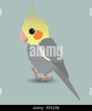 Une illustration af un mignon petit cockatiel Illustration de Vecteur