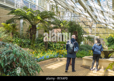 Deux visiteurs à l'intérieur de l'Europe, Queen Elizabeth House, une grande serre de jardin Savill, Windsor Great Park, UK, en mars, début du printemps Banque D'Images