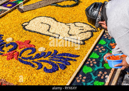 Antigua, Guatemala - Mars 11, 2018 : la décoration de la sciure tapis teints Carême détruit quelques instants plus tard par l'adoption de défilés en ville coloniale. Banque D'Images