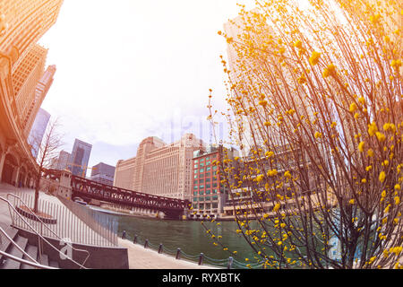 La rivière Chicago au printemps en ville downtown district, Illinois, États-Unis Banque D'Images