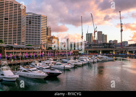 22 décembre 2018, Sydney NSW Australie : Coucher de soleil sur Darling Harbour marina avec des yachts bateaux dans Sydney NSW Australie Banque D'Images