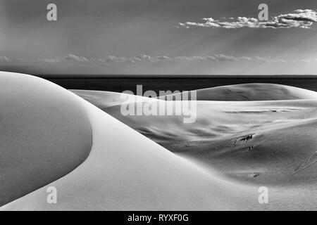 Abstraite noir-blanc impression de formes de dunes de sable de Stockon Beach sur la côte du Pacifique, l'Australie. Un contraste élevé des lignes douces formé par win naturelles Banque D'Images