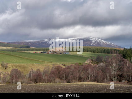 Moray, en Écosse. 15 Mar 2019. Météo France : c'est une vue de la majestueuse montagne de Ben Rinnes dans Moray, en Écosse sur la tempête Vendredi 15 mars 2019 Crédit : JASPERIMAGE/Alamy Live News Banque D'Images