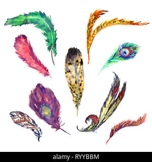 Different shapes and colors feathers collection, hand painted watercolor illustration isolated on white Banque D'Images