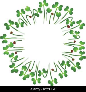 Microgreens chou chinois. Disposées en cercle. Supplément de vitamines, de nourriture vegan Illustration de Vecteur